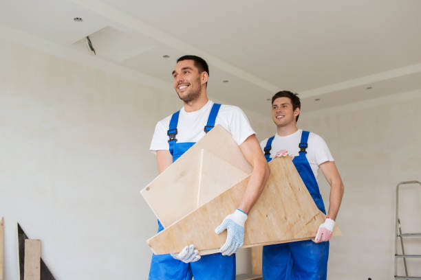 Best Hoarding Cleanup  in Hamlin, WV