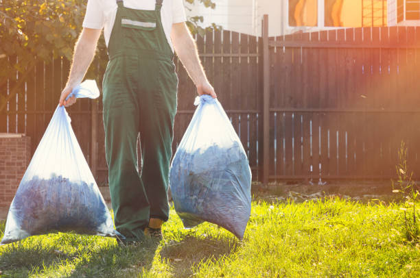 Best Scrap Metal Removal  in Hamlin, WV